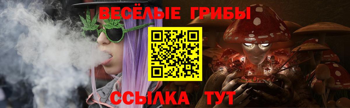Галлюциногенные грибы Psilocybine cubensis  наркошоп  Псилоцибиновые грибы ЛСД  Рославль  Вход с VPN 